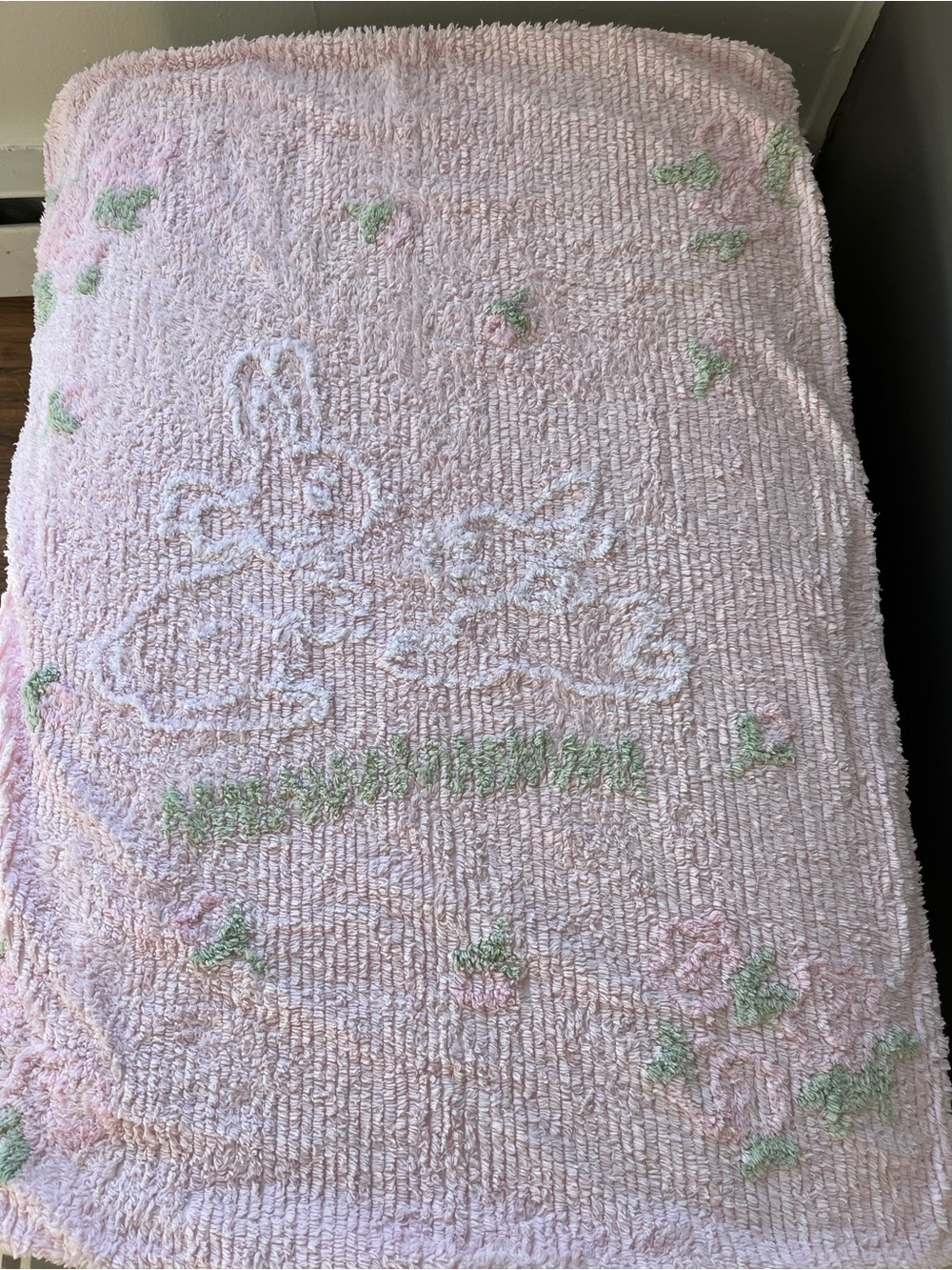 Limited Edition Amy Coe Baby Blanket